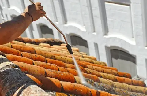Démoussage de toiture à Landrais